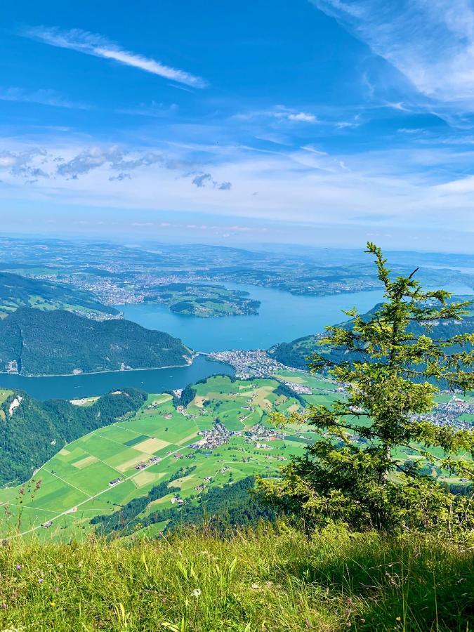 The Swiss Paradise 2 Apartment With Garden, Whirlpool, And Mountain Panorama Wirzweli Exterior foto
