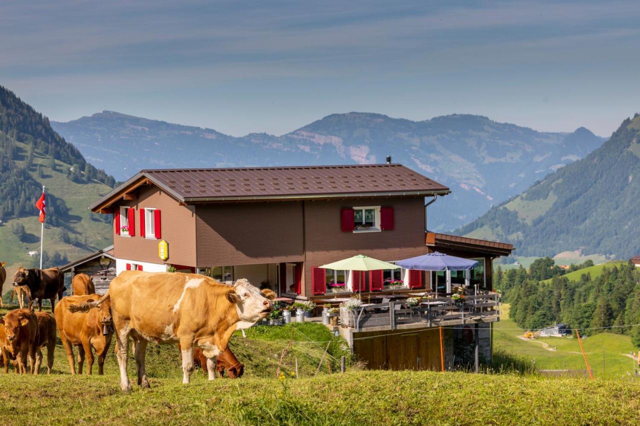 The Swiss Paradise 2 Apartment With Garden, Whirlpool, And Mountain Panorama Wirzweli Exterior foto